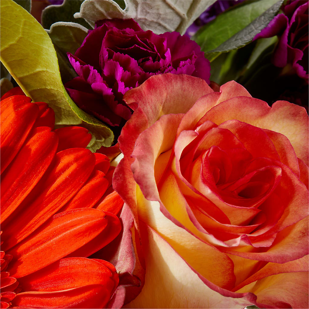 Sangria Bouquet –  Lupita Flowers, Novato CA