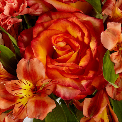 Apricot Glow Bouquet –  Lupita Flowers, Novato CA