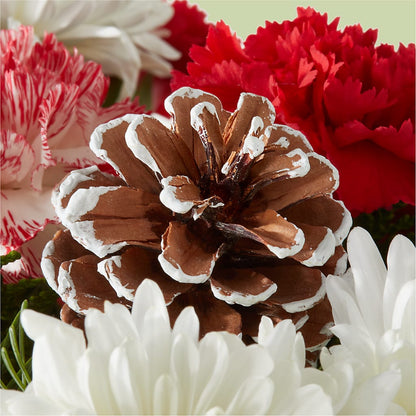 Candy Cane Lane Bouquet –  Lupita Flowers, Novato CA