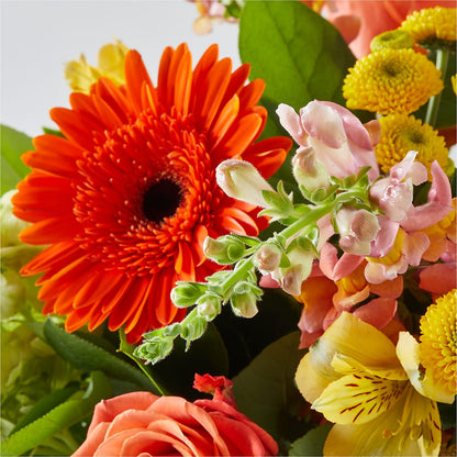 Autumn Sunshine Bouquet –  Lupita Flowers, Novato CA