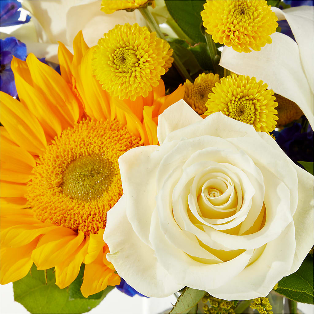 Stargazing Bouquet –  Lupita Flowers, Novato CA