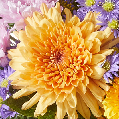 Countryside Bouquet –  Lupita Flowers, Novato CA