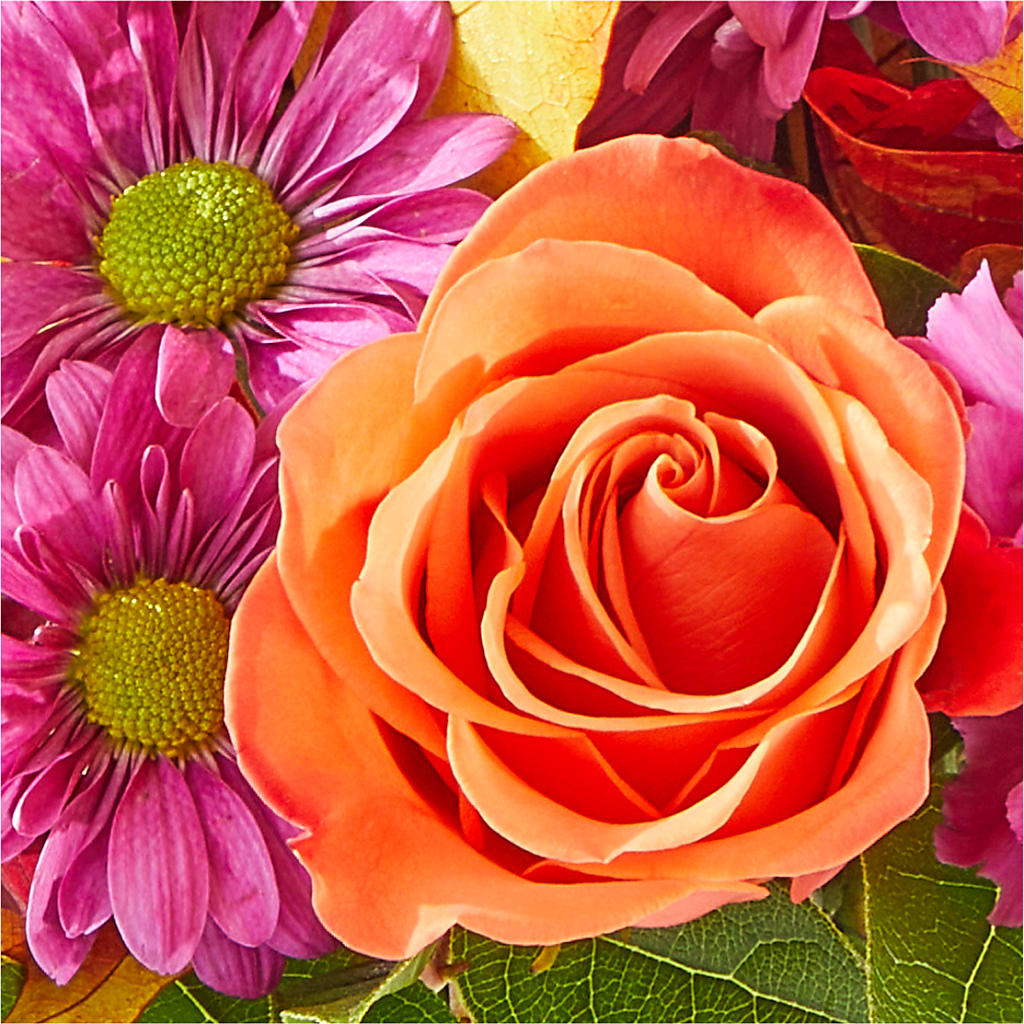 Mum's the Word Bouquet –  Lupita Flowers, Novato CA