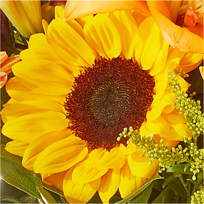 Seasons Change Bouquet –  Lupita Flowers, Novato CA