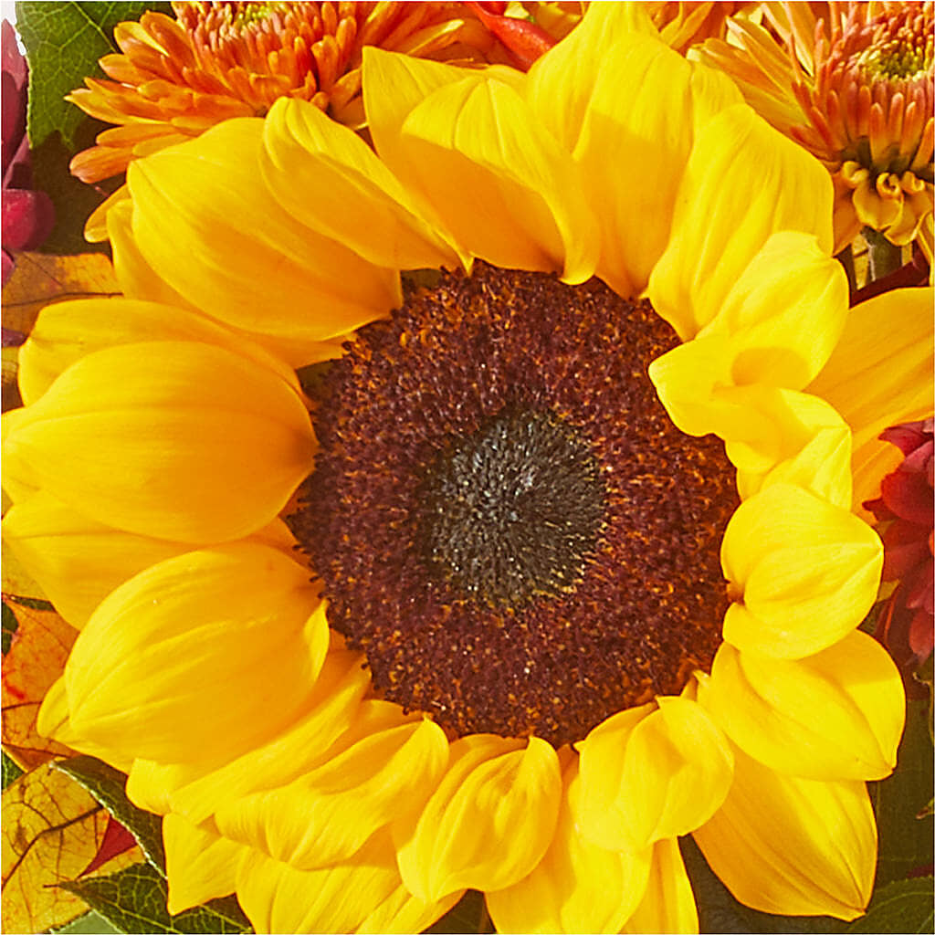 Sunny Side Bouquet –  Lupita Flowers, Novato CA