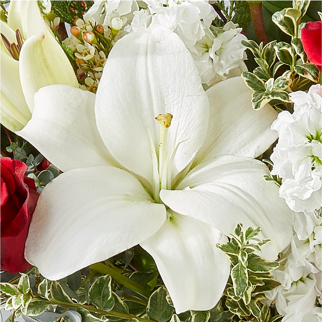Twinkle Lights Bouquet –  Lupita Flowers, Novato CA