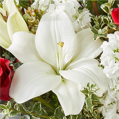 Twinkle Lights Bouquet –  Lupita Flowers, Novato CA