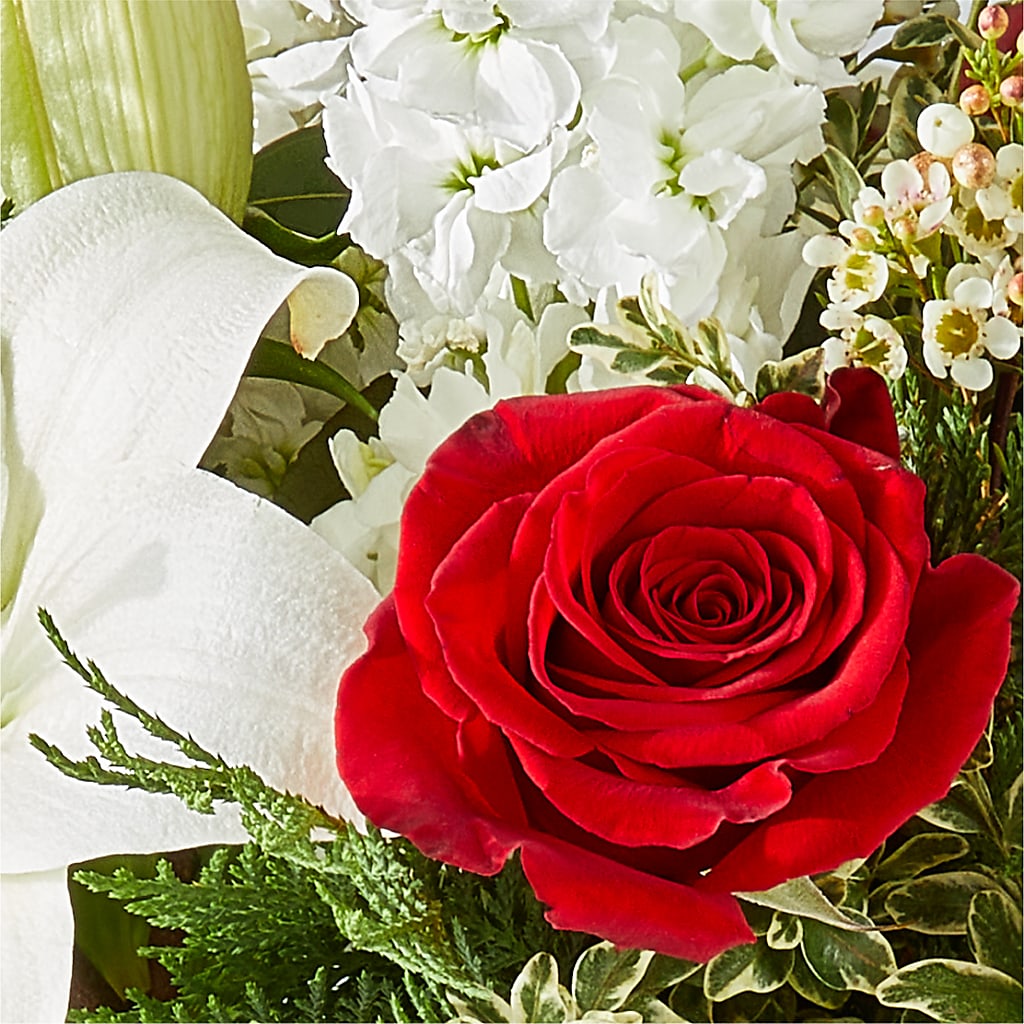 Twinkle Lights Bouquet –  Lupita Flowers, Novato CA