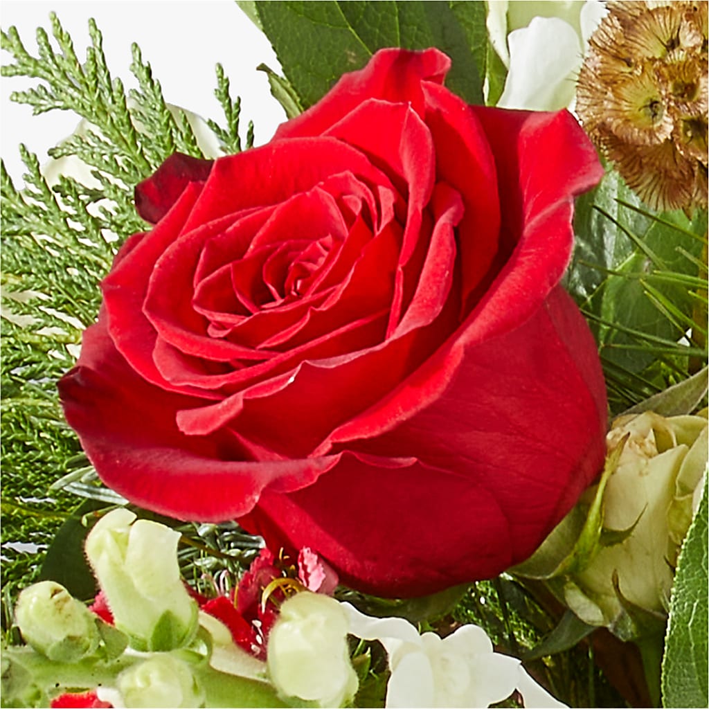 Deck the Halls Bouquet –  Lupita Flowers, Novato CA