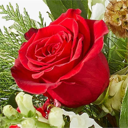 Deck the Halls Bouquet –  Lupita Flowers, Novato CA