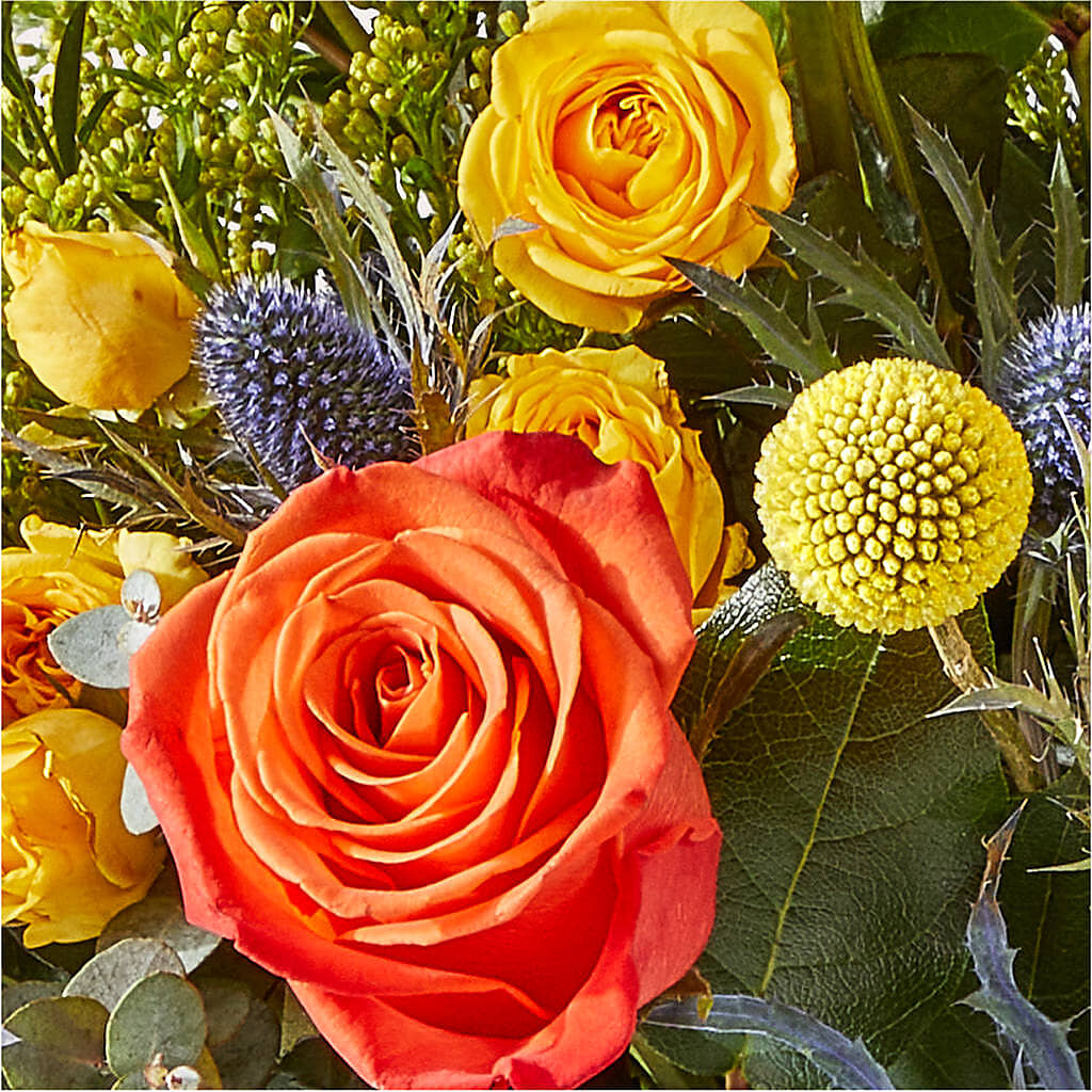 Disco Bouquet –  Lupita Flowers, Novato CA