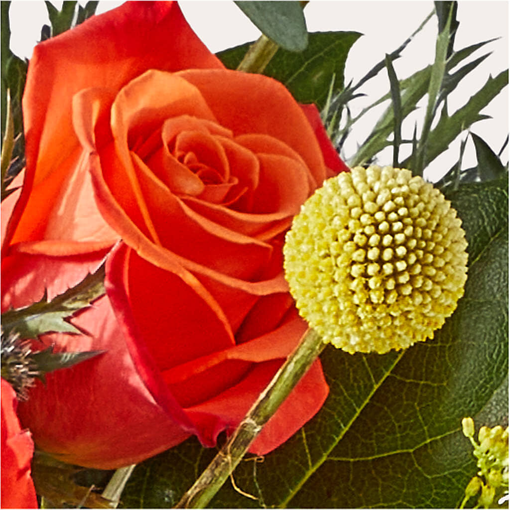 Disco Bouquet –  Lupita Flowers, Novato CA