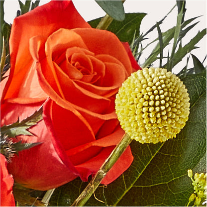 Disco Bouquet –  Lupita Flowers, Novato CA