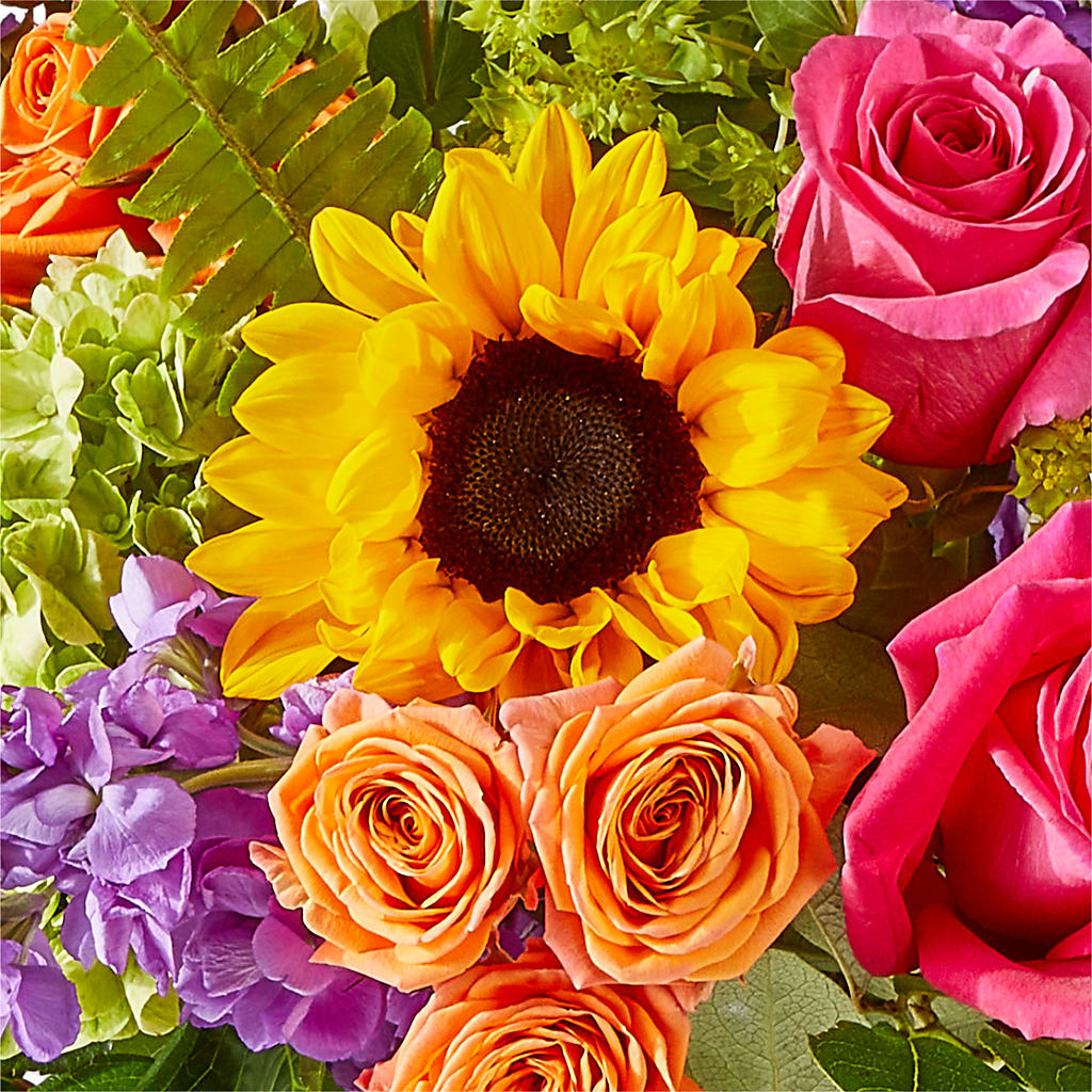 Vibrant Greetings Bouquet –  Lupita Flowers, Novato CA