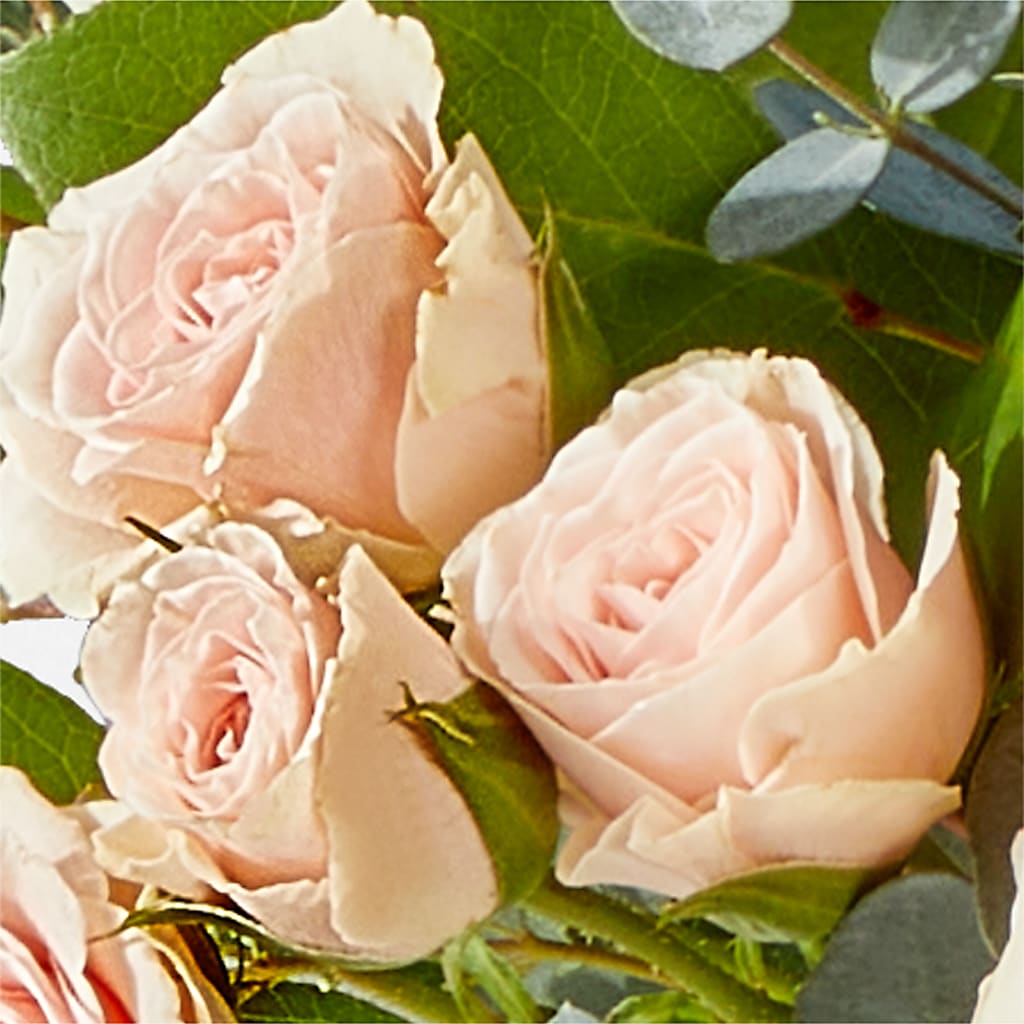 Inspired Bouquet –  Lupita Flowers, Novato CA