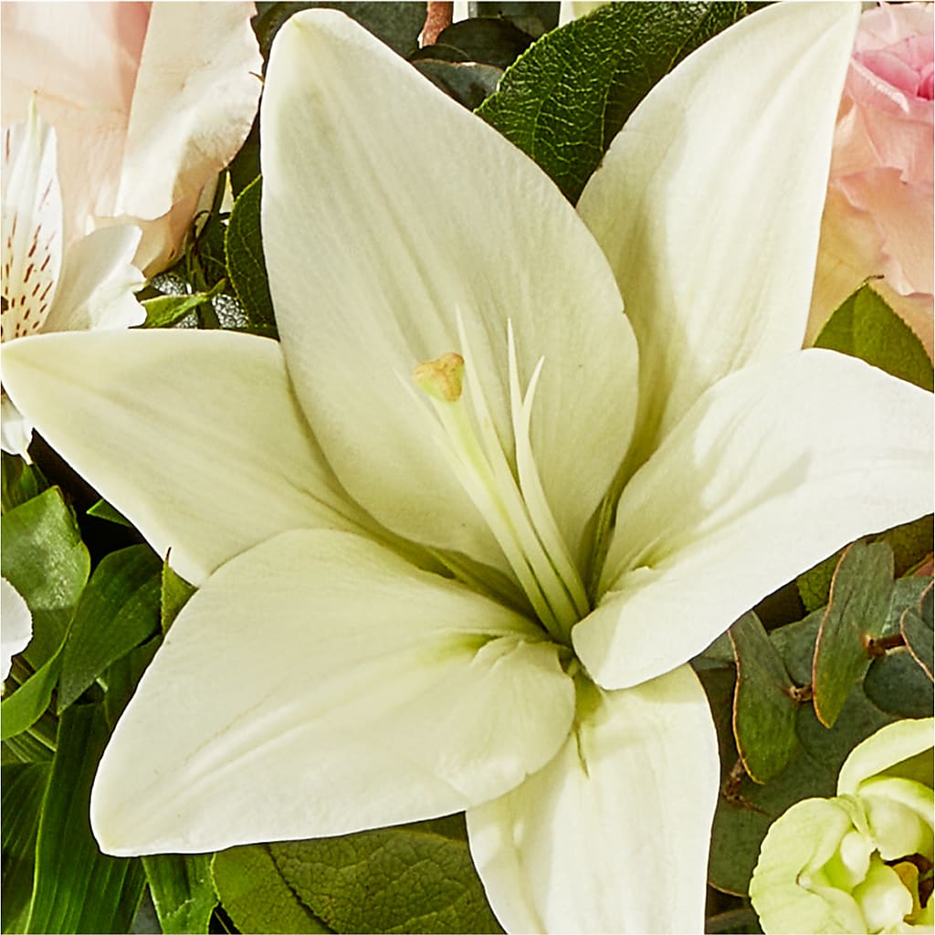 Ballet Slippers Bouquet –  Lupita Flowers, Novato CA