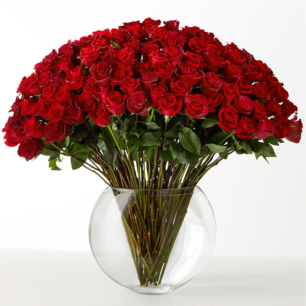The Idealist –  Lupita Flowers, Novato CA