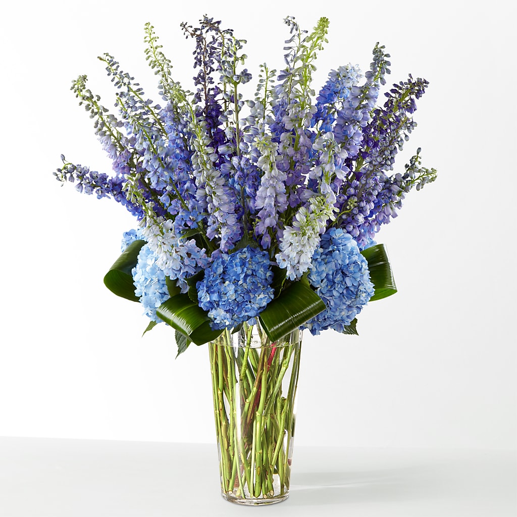 The Editorial –  Lupita Flowers, Novato CA