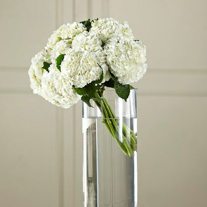 White Hydrangea Hand-Tied Bouquet –  Lupita Flowers, Novato CA