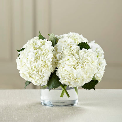 White Hydrangea Bouquet –  Lupita Flowers, Novato CA